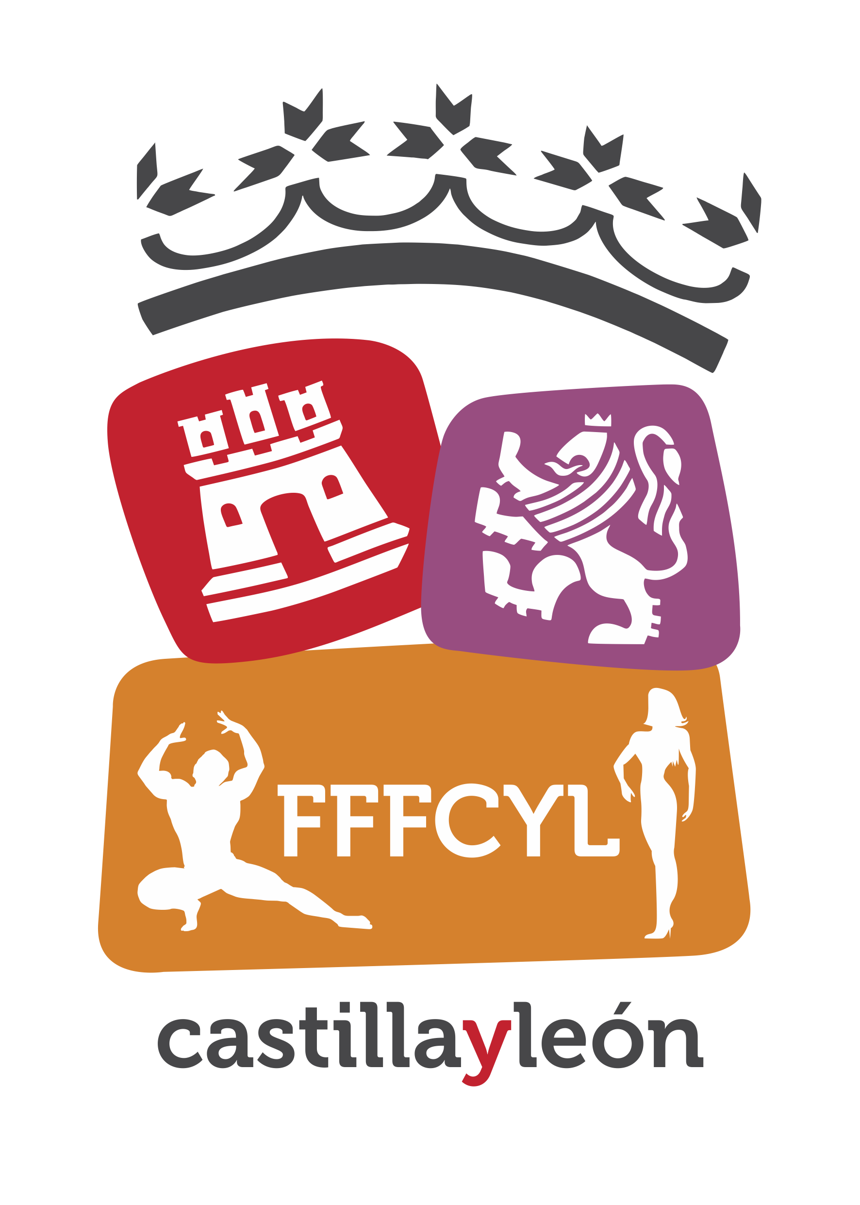 FEFF Castilla y León - Logo